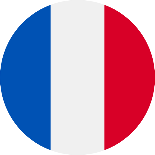 france flag course